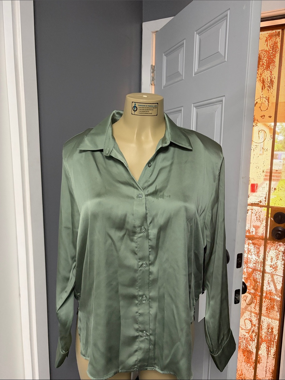 Astr Satin Sage Green Button-Down Shirt